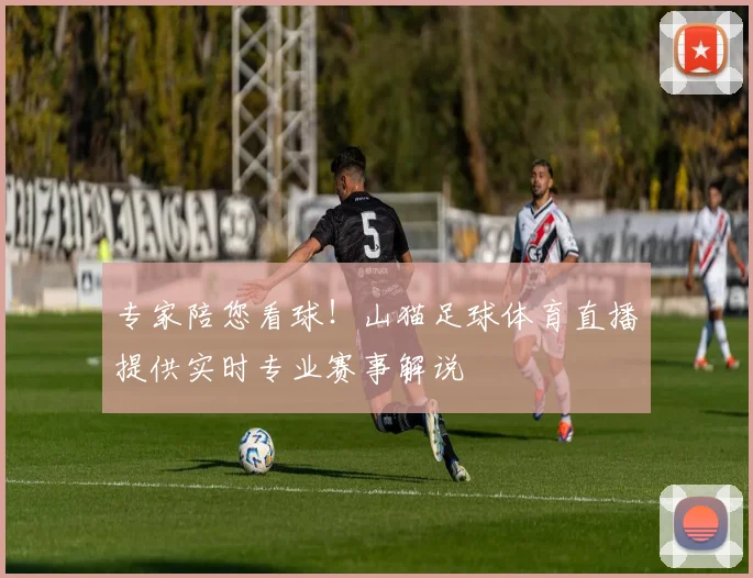 专家陪您看球！山猫足球体育直播提供实时专业赛事解说