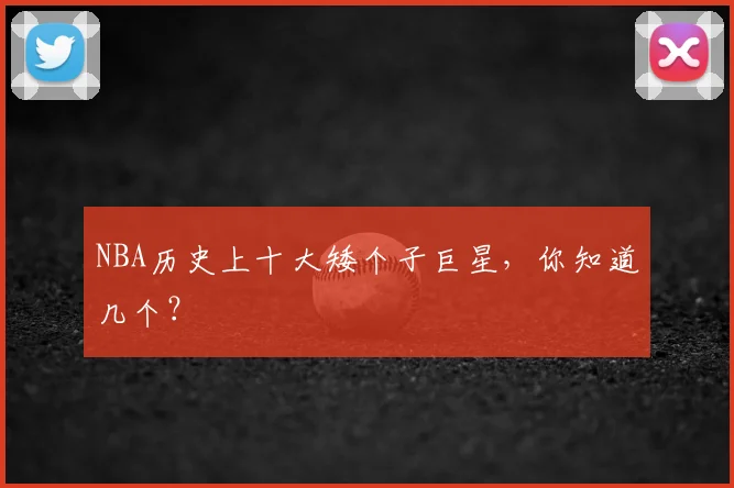 NBA历史上十大矮个子巨星，你知道几个？