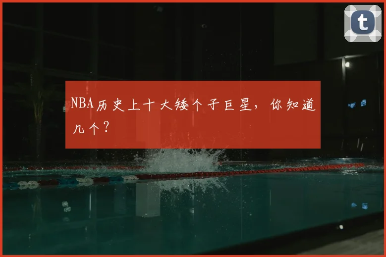 NBA历史上十大矮个子巨星，你知道几个？