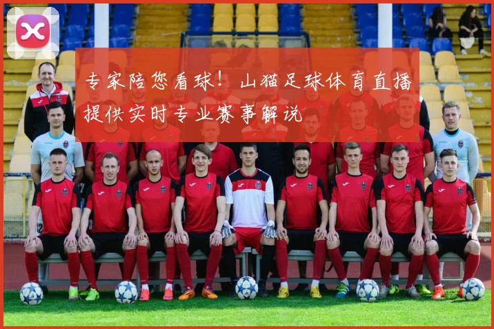 专家陪您看球！山猫足球体育直播提供实时专业赛事解说